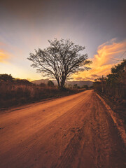 Obraz premium sunset on the road