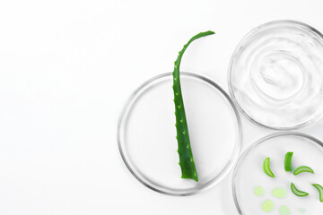 Petri dishes with aloe plants and cosmetic product on white background, top view. Space for text