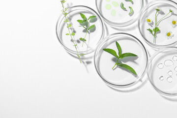 Petri dishes with different plants and cosmetic product on white background, top view. Space for...