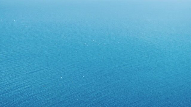 Seagulls flying above calm sea water surface near mountain Penon de Ifach, Spain