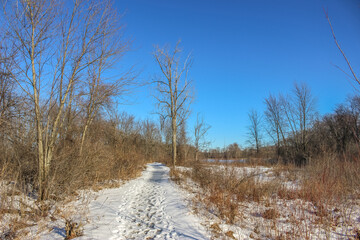 Fototapeta premium Beautiful winter landscape at the ravine Petrie Island, Ottawa river