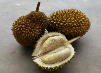 Fresh and ripe durian fruit. Durian (Durio) is a tropical plant originating from the Southeast...