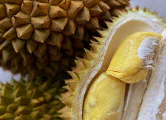 Fresh and ripe durian fruit. Durian (Durio) is a tropical plant originating from the Southeast...