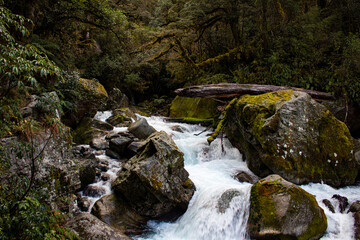waterfall in the forest