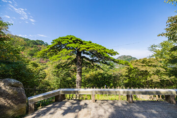 landscape of the river in the mountains
