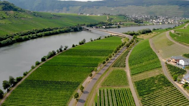 Vineyards alongside the river Moselle in Germany Bernkastel Kues. a well known winegrowing center alongside the river Mosel in the mountains
