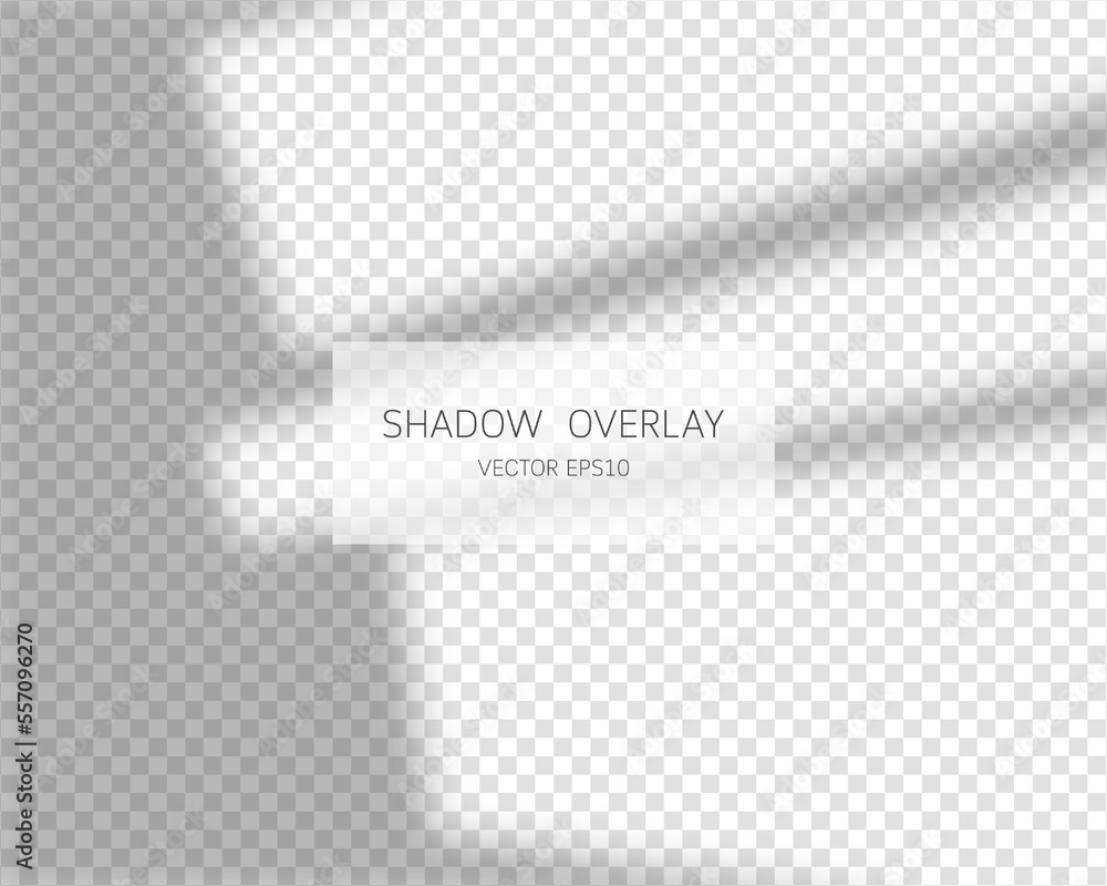 Poster shadow overlay effect. natural shadows from window isolated on transparent background. vector illust