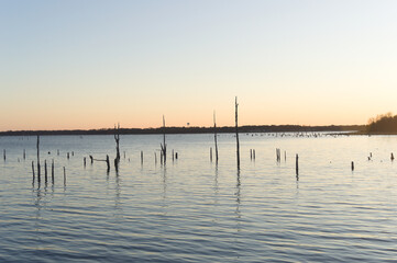 Obraz premium orange and blue sunset on grey lake with tree silhouettes