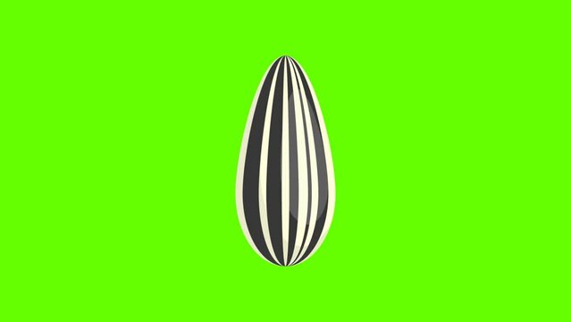 Animated design of sunflower seeds opening from the shell