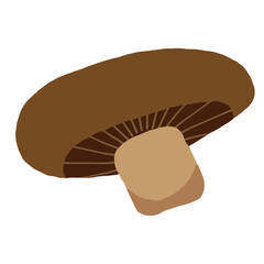 Mushroom