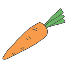 carrot isolated on white