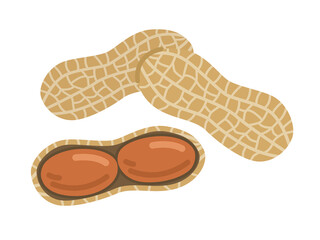 殻付き落花生のイラスト