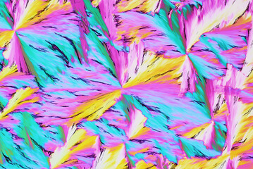 Colorful micro crystals in polarized light. Photo through a microscope - 557101604
