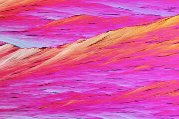 Colorful micro crystals in polarized light. Photo through a microscope - 557101616