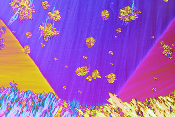 Colorful micro crystals in polarized light. Photo through a microscope - 557101639