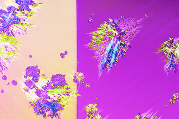 Colorful micro crystals in polarized light. Photo through a microscope - 557101648