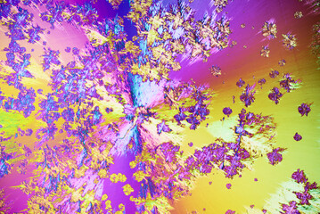 Colorful micro crystals in polarized light. Photo through a microscope - 557101656