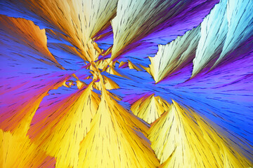 Colorful micro crystals in polarized light. Photo through a microscope - 557101671