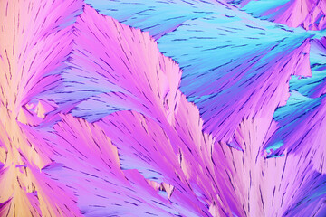 Colorful micro crystals in polarized light. Photo through a microscope - 557101677