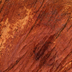 Abstract pattern of longan tree core texture.