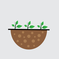 Plants growing in a soil with fertilizer, healthy soil concept