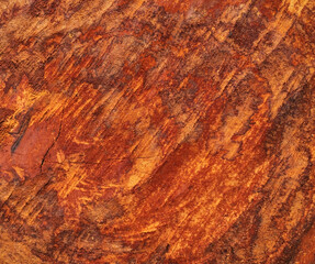 Abstract pattern of longan tree core texture.