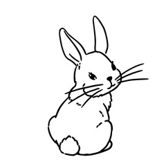 Vector coloring book illustration. Cute Hand Drawn Bunny isolatet on wite background