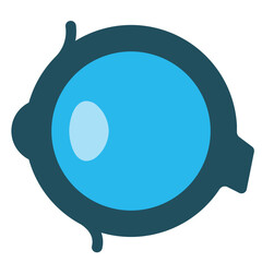 Eyeball Flat Icon
