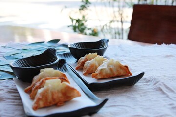 The dishes of Japanese Gyoza.