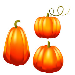 Orange pumpkins