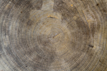 Abstract old wooden background swirling spiral, handmade. Made of eco friendly material.