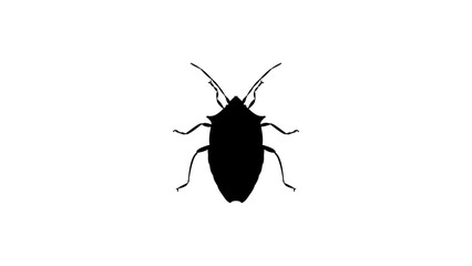 Spined Green Stink Bug silhouette, high quality vector