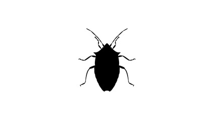 Spined Green Stink Bug silhouette, high quality vector © OMIA