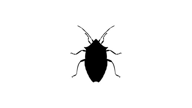 black insect silhouette on white background clip art preview