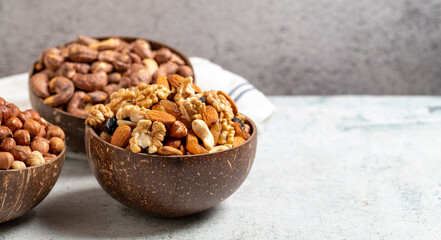 Assortment of nuts on a gray background. Hazelnuts, walnuts and mixed nuts in a coconut bowl. Empty space for text. Copy space