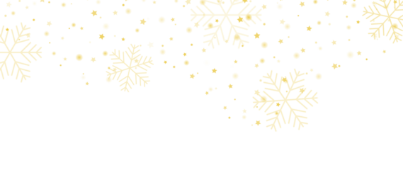Snowflake background vector
