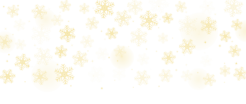 Snowflake background vector