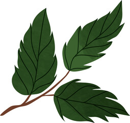 Watercolor winter leaf branch