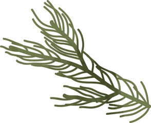 Watercolor pine leaf branch