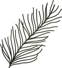 Watercolor pine leaf branch
