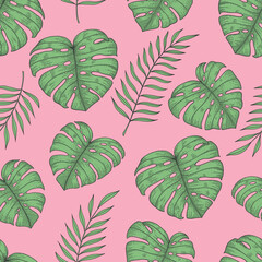 Tropical leaves monstera palm seamless pattern. - 557129670