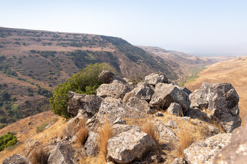Fototapeta na wymiar View from the Gamla city ruins to the adjacent gorge in the area of the Gamla Nature Reserve, Golan Heights, northern Israel