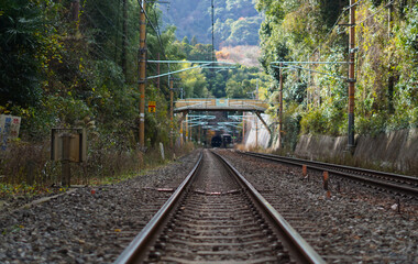 Railway in the forest	