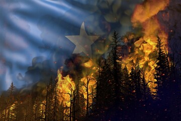 Forest fire fight concept, natural disaster - burning fire in the woods on Somalia flag background - 3D illustration of nature