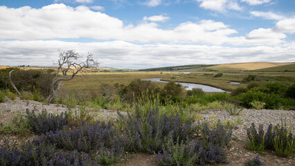 Paysage typique du Sussex en Angleterre près des Seven Sisters
