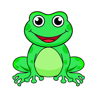bright vector illustration of a frog, cute frog sitting, hand drawing
