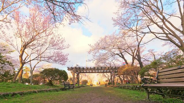 「奥州市」の写真素材 | 14,132件の無料イラスト画像 | Adobe Stock