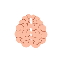 Brain with convolutions. Pink thinking organ as symbol of creative ideas and neurological system with vector anatomy psychology