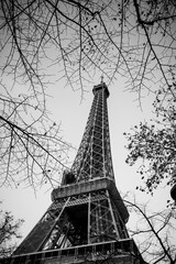 Eiffel Tower through the vegetation of trees and their branches surrounding the Eiffel Tower in Paris, France