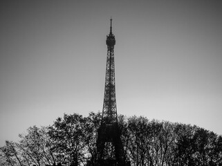 Eiffel Tower rising above the trees in Paris, France at sunset